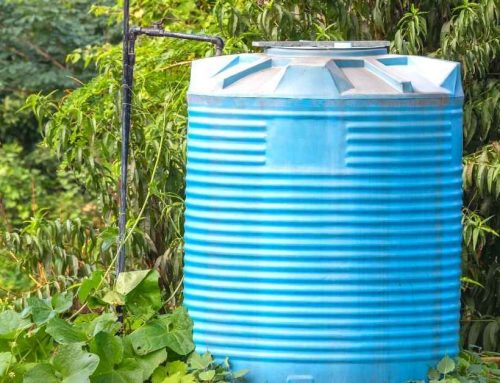 Water Solutions – Collecting Water